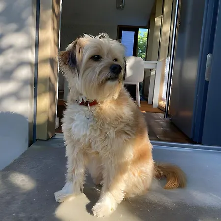 Appartement Falterweg